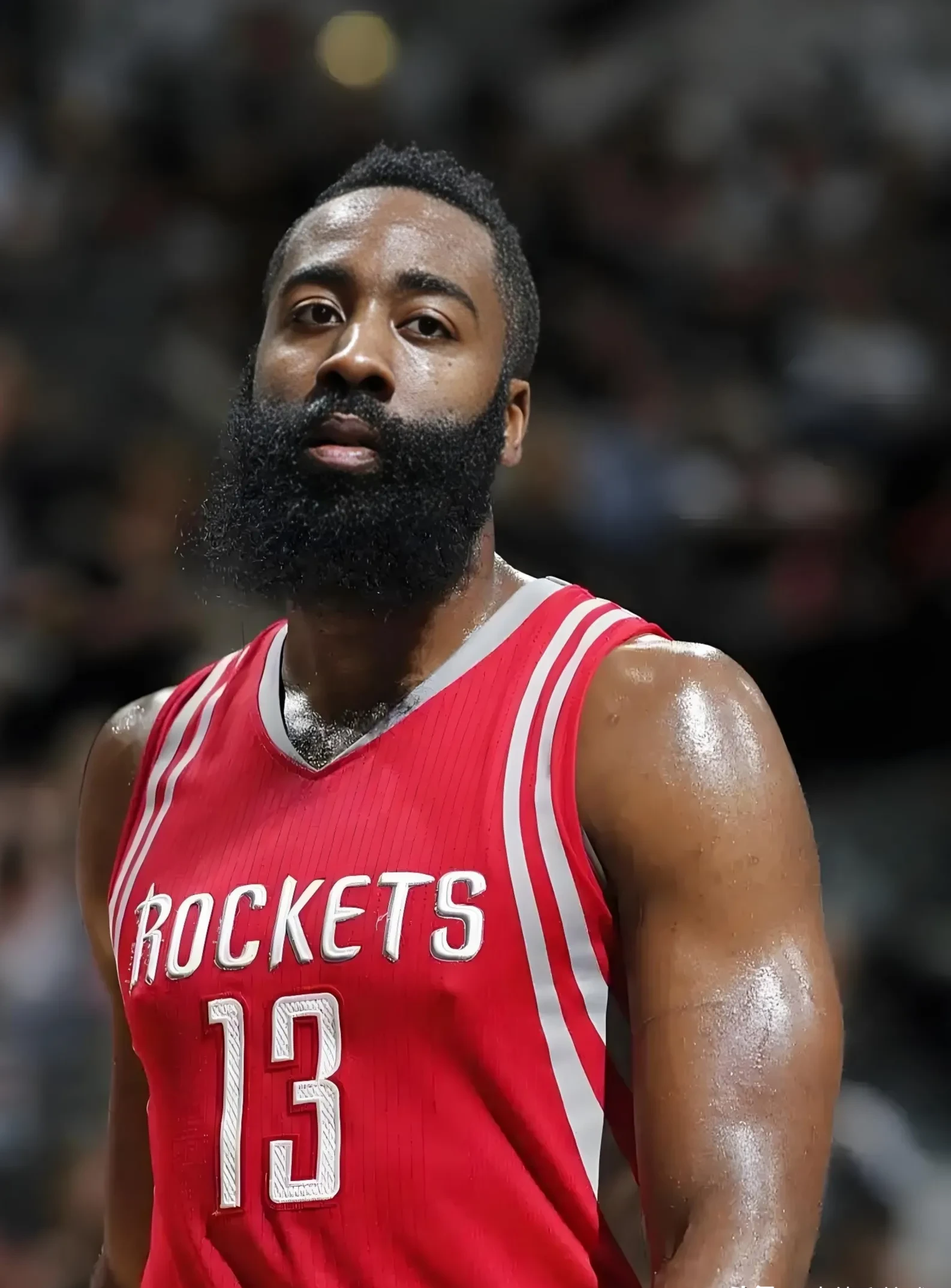 哈登新星赛事规则更新表现惊艳，日本队未来可期！的简单介绍